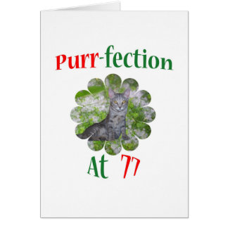Schnurren-fection 77
