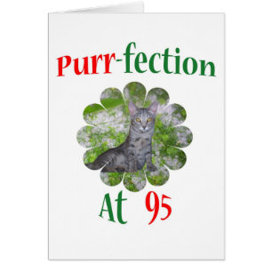 Schnurren-fection 95