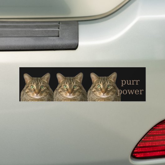 Schnurren-Power Autoaufkleber (Auf Auto)