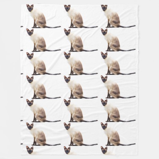 Schnurren-Tier-Kätzchen des Haustieres der Fleecedecke (Vorderseite)