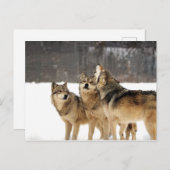 Schock und Ehrfurcht Postkarte (Vorne/Hinten)