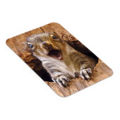 Schockhörnchen Magnet (Rechte Seite)