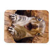 Schockhörnchen Magnet (Horizontal)