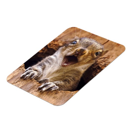 Schockhörnchen Magnet (Linke Seite)