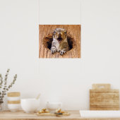 Schockhörnchen Poster (Küche)