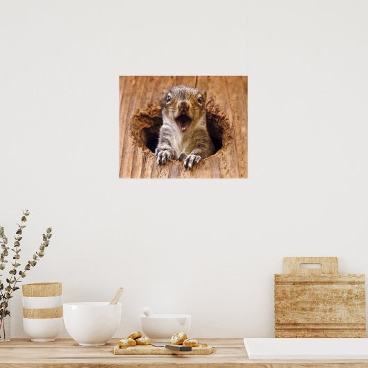 Schockhörnchen Poster (Küche)