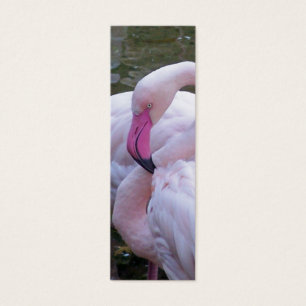 Schockierendes Rosa-Lesezeichen