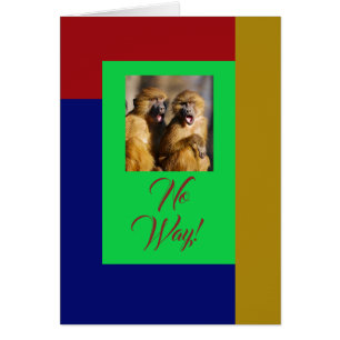 Schockierte Affen, Rot, Blau, Grün und Gold-Karte