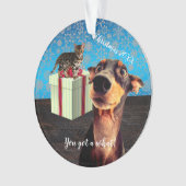 Schockierte Doberman Weihnachten Ornament (Vorderseite)