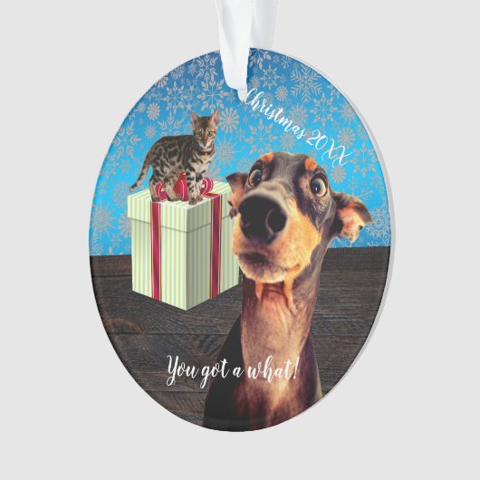 Schockierte Doberman Weihnachten Ornament (Vorderseite)
