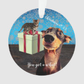 Schockierte Doberman Weihnachten Ornament (Vorderseite)