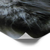 Schockierte Lieben Poster (Ecke)