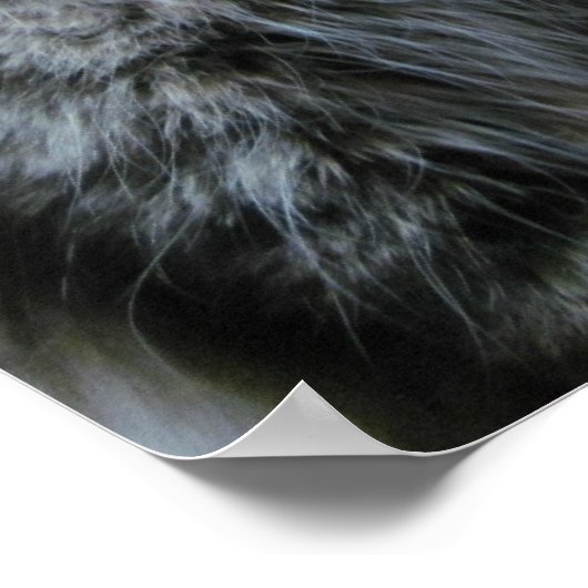 Schockierte Lieben Poster (Ecke)