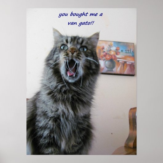 Schockierte Lieben Poster (Vorne)