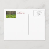 SCHOEPFLE GARDEN (OHIO) POSTCARD POSTKARTE (Rückseite)