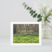 SCHOEPFLE GARDEN (OHIO) POSTCARD POSTKARTE (Stehend Vorderseite)