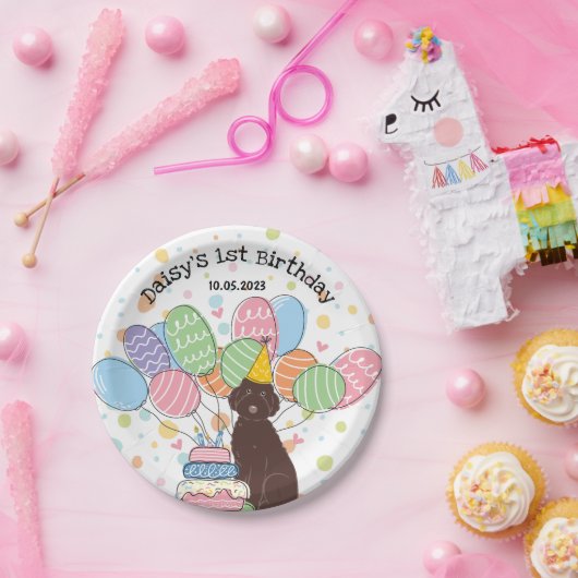 Schokolade Aussiedoodle Birthday Party Paper Telle Pappteller (Party)