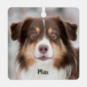 Schokolade, australischer Schäferhund Ornament Aus Metall (Rückseite)