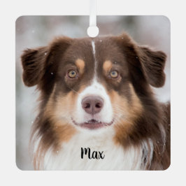 Schokolade, australischer Schäferhund Ornament Aus Metall