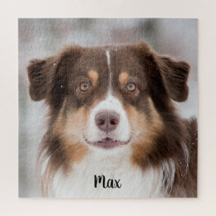 Schokolade, australischer Schäferhund Puzzle