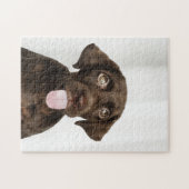 Schokolade Braun Labrador Welpe Puzzle (Horizontal)