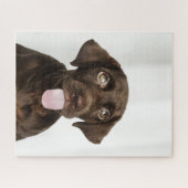 Schokolade Braun Labrador Welpe Puzzle (Horizontal)