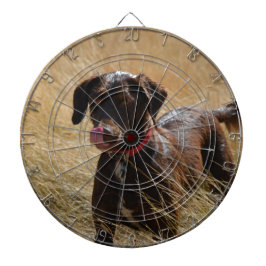 Schokolade Brawn Labrador Retriever Dartscheibe