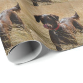 Schokolade Brawn Labrador Retriever Geschenkpapier (Rolleneckpunkt)