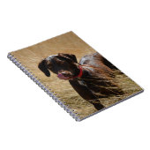 Schokolade Brawn Labrador Retriever Notizblock (Rechte Seite)