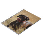 Schokolade Brawn Labrador Retriever Notizblock (Linke Seite)