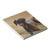 Schokolade Brawn Labrador Retriever Notizblock (angewinkelt)