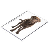 Schokolade Brawn Labrador Retriever Puppy Notebook Notizblock (Linke Seite)