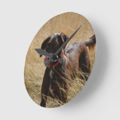 Schokolade Brawn Labrador Retriever Runde Wanduhr (Winkel)