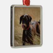 Schokolade Brawn Labrador Retriever Silbernes Ornament (Rechts)