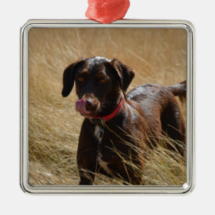 Schokolade Brawn Labrador Retriever Silbernes Ornament