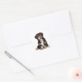 Schokolade Brown & White Havanese Welpensticker Quadratischer Aufkleber (Umschlag)