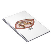 Schokolade Cartoon Illustration Notizblock (Rechte Seite)