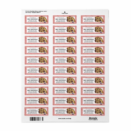 Schokolade Chip Cookies Backen Canning Geschenk (Vorne)