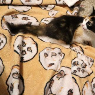 Schokolade Chip Cookies Cookie Liebhaber Fleecedecke