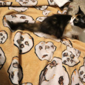 Schokolade Chip Cookies Cookie Liebhaber Fleecedecke