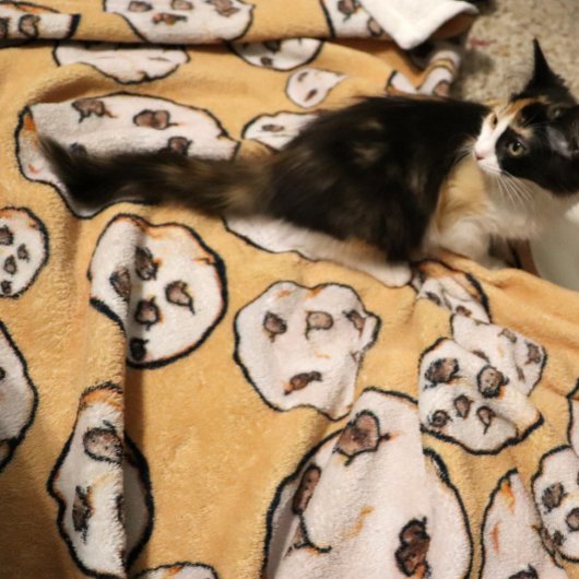 Schokolade Chip Cookies Cookie Liebhaber Fleecedecke