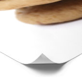 Schokolade Chip Cookies Plakat drucken (Ecke)