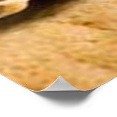 Schokolade Chip Cookies Plakatdrucke Poster (Ecke)
