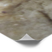 Schokolade Chip Cookies Poster (Ecke)