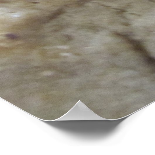 Schokolade Chip Cookies Poster (Ecke)