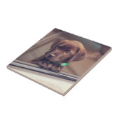 Schokolade Fliese (Seite)