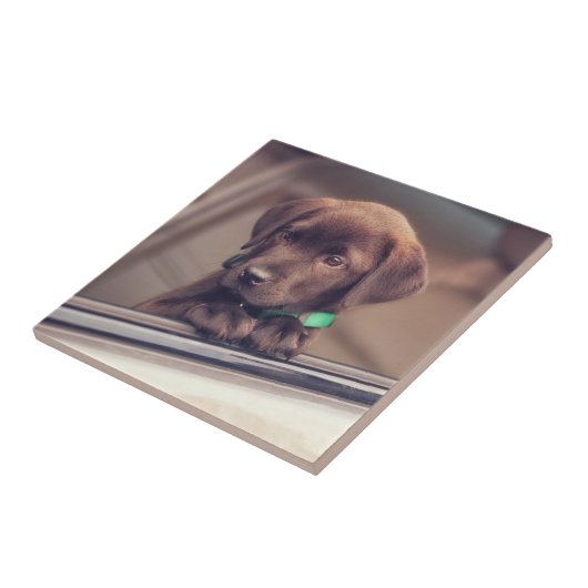 Schokolade Fliese (Seite)