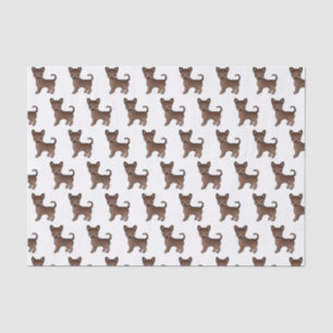 Schokolade, glatter Coat Chihuahua Niedlich Hundes Seidenpapier
