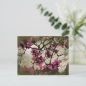Schokolade Himbeeren-Blossom Zweige Postkarte (Stehend Vorderseite)