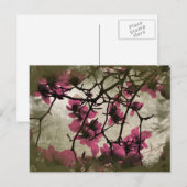Schokolade Himbeeren-Blossom Zweige Postkarte (Vorne/Hinten)
